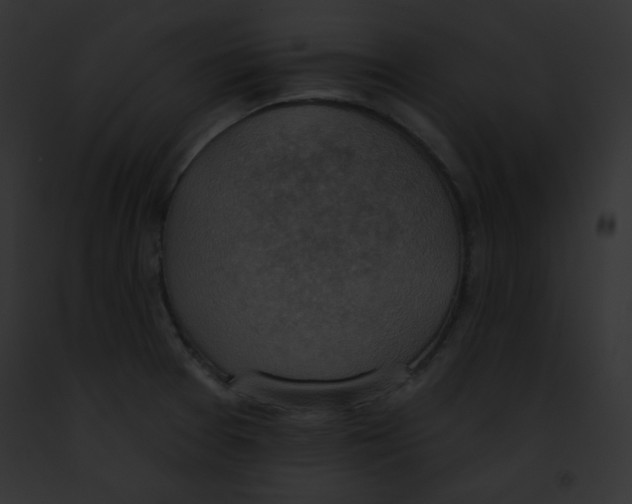 X0000091851377200710031011