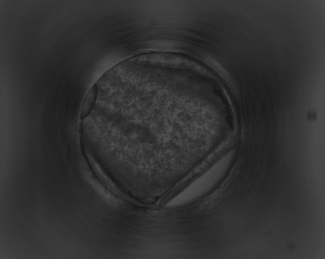 X0000091851378200710031011