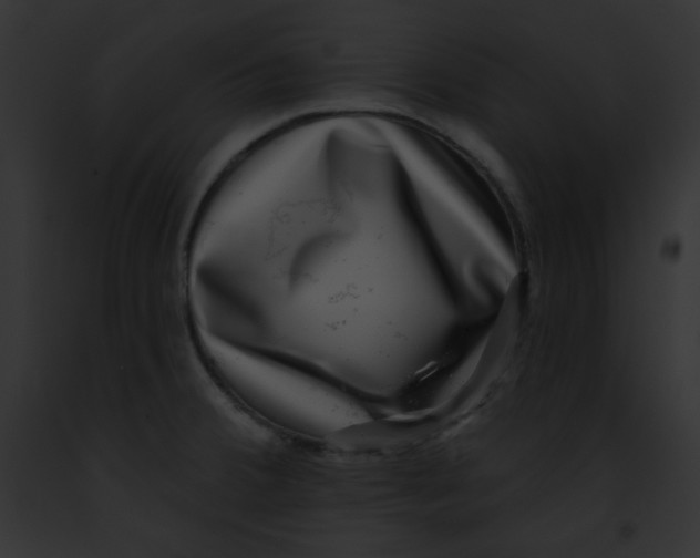 X0000091851380200710031011