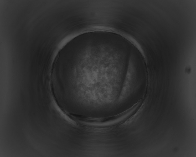 X0000091851381200710031011