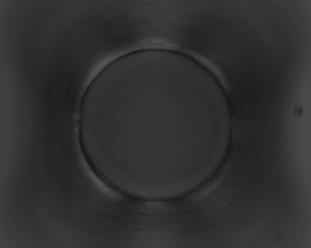 X0000091851383200710031011