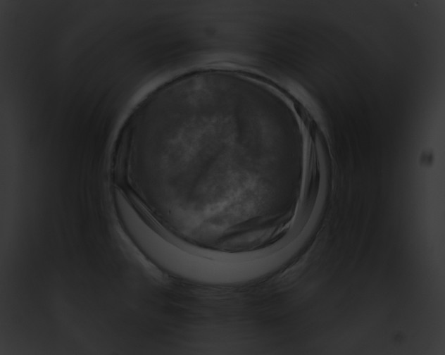 X0000091851384200710031011