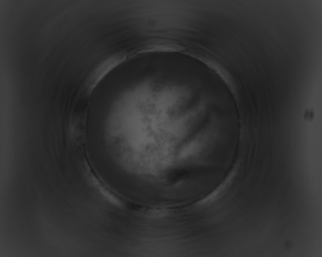 X0000091851385200710031011