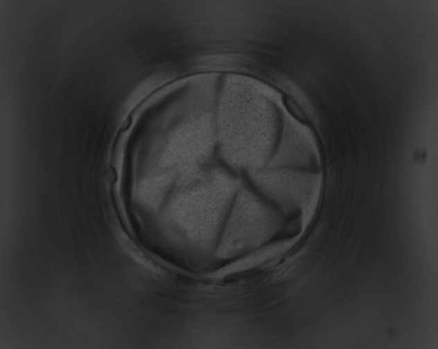 X0000091851386200710031011