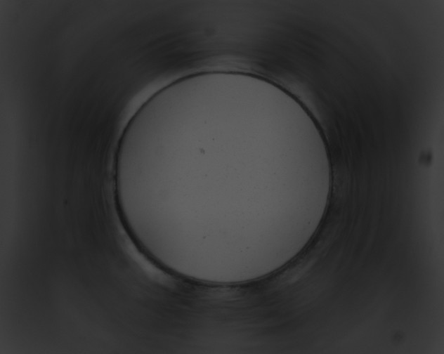 X0000091851387200710031011