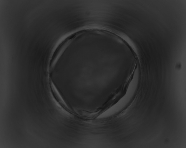 X0000091851388200710031011