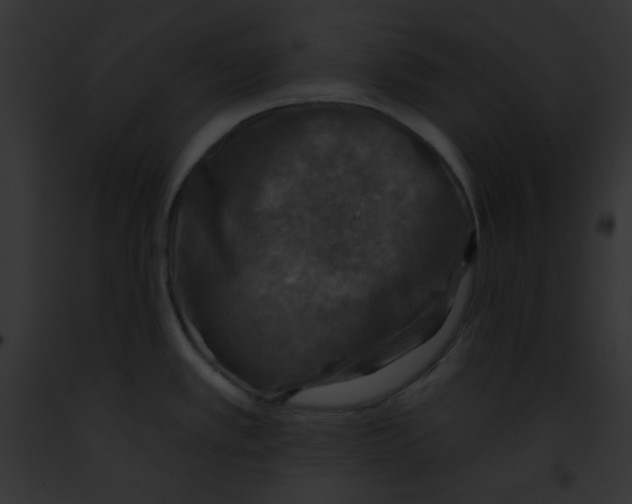 X0000091851389200710031011
