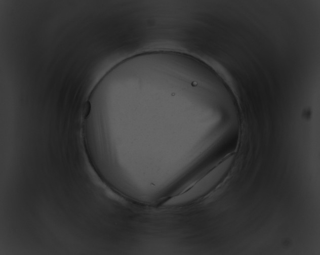 X0000091851390200710031011