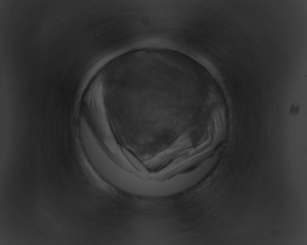 X0000091851392200710031011