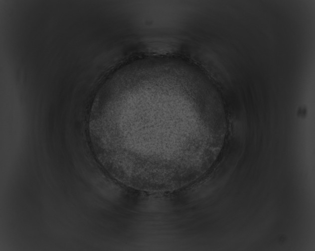 X0000091851393200710031010