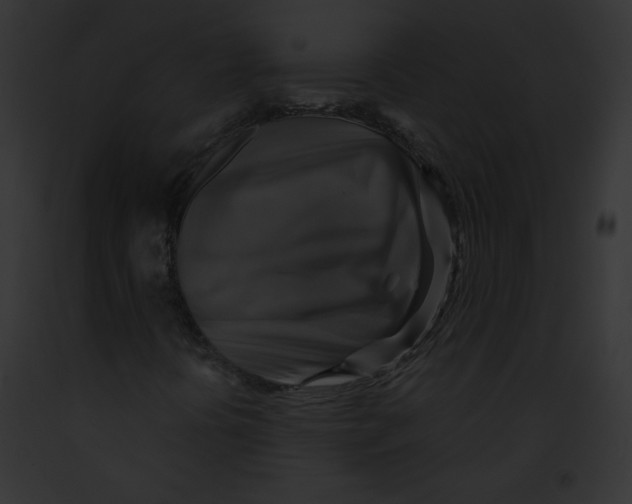 X0000091851394200710031010