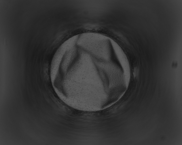 X0000091851396200710031010