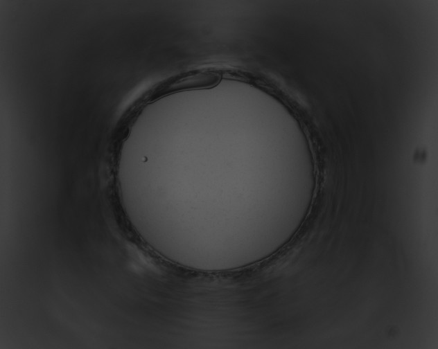X0000091851400200710031010