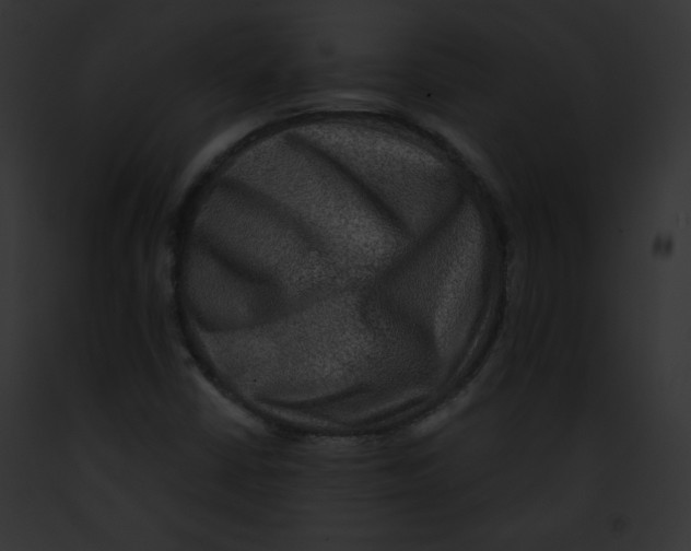 X0000091851402200710031010