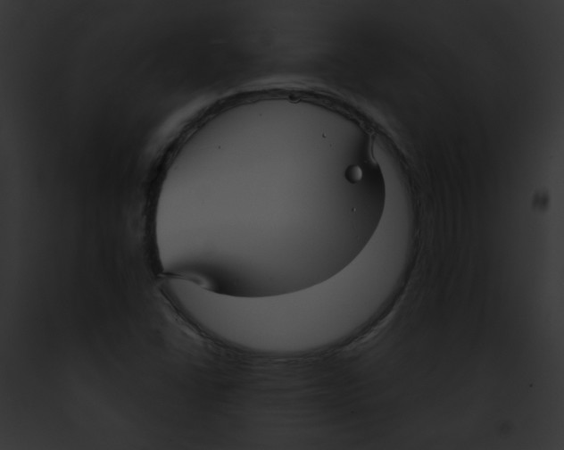 X0000091851406200710031010
