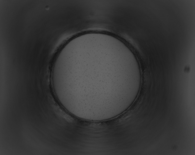 X0000091851408200710031010