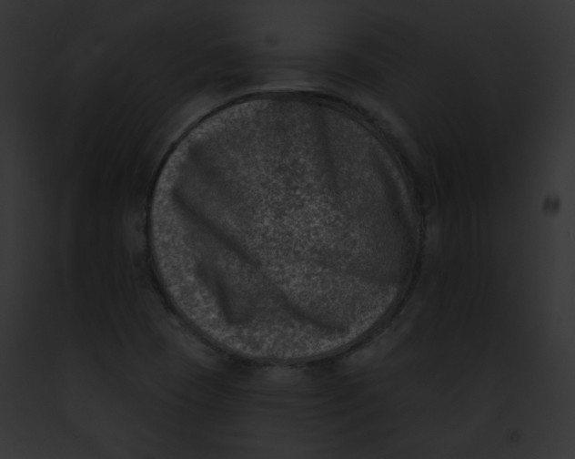 X0000091851409200710031010