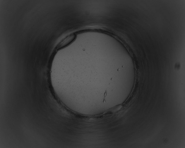 X0000091851412200710031010