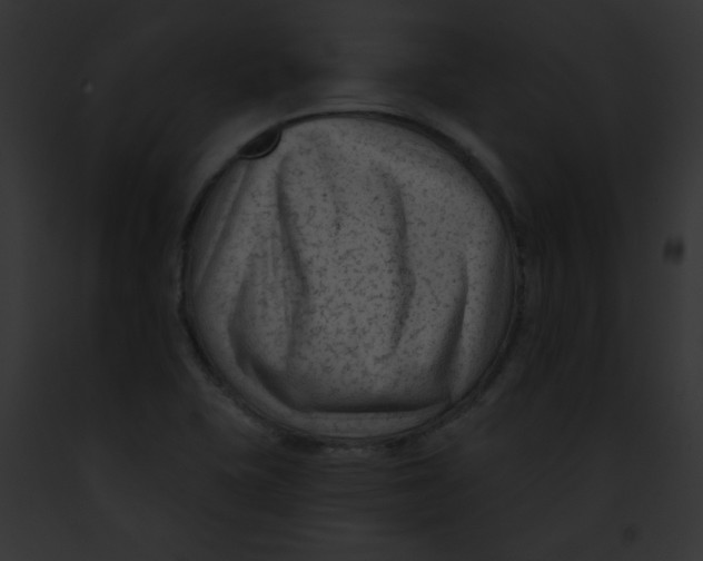 X0000091851415200710031011