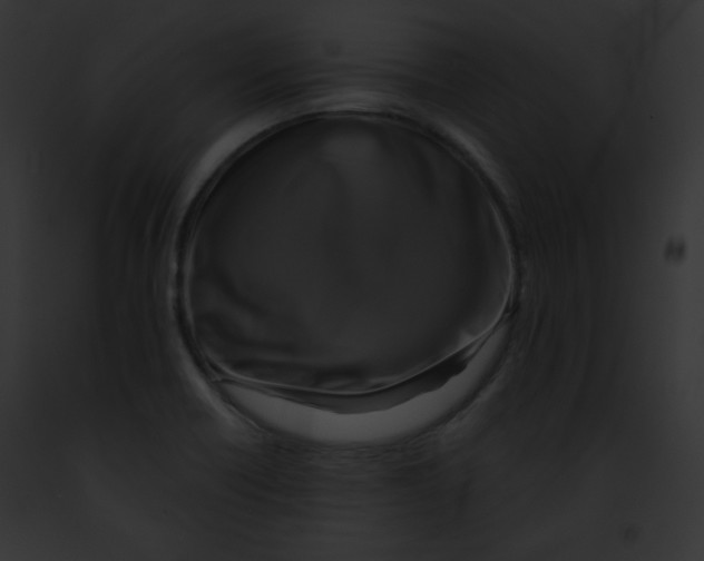 X0000091851418200710031011