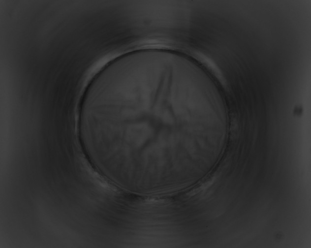 X0000091851419200710031011