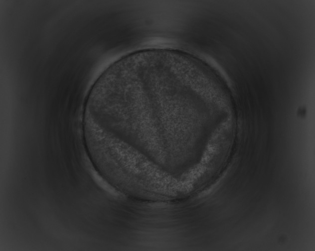 X0000091851421200710031011