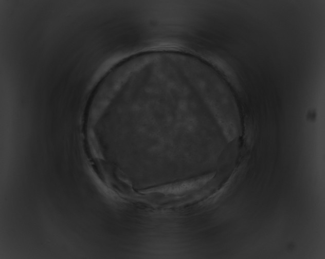 X0000091851422200710031011