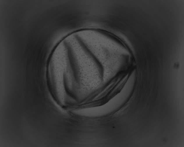 X0000091851424200710031011