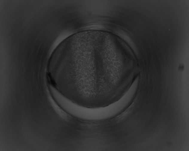 X0000091851426200710031011