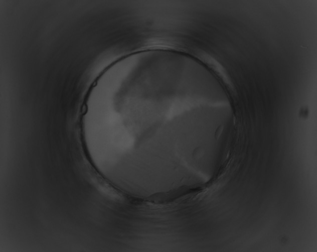 X0000091851427200710031011