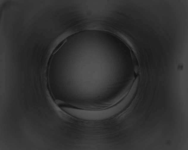 X0000091851434200710031011
