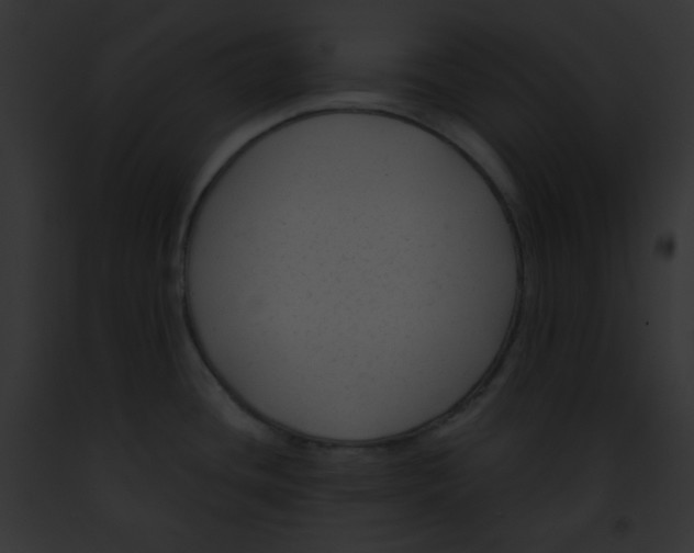 X0000091851436200710031011
