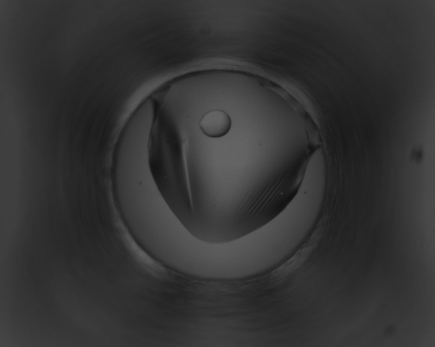 X0000091851438200710031011