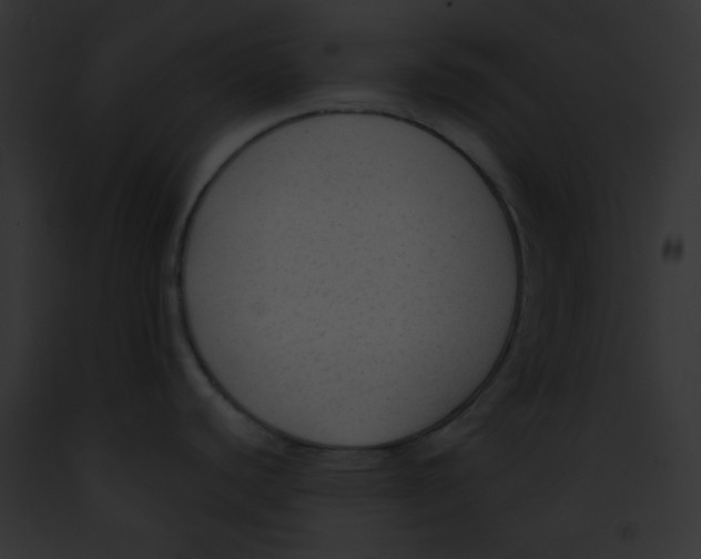 X0000091851440200710031011