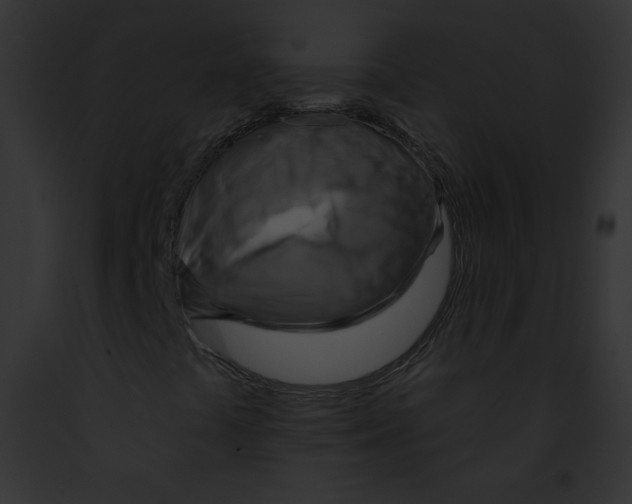 X0000091851441200710031010