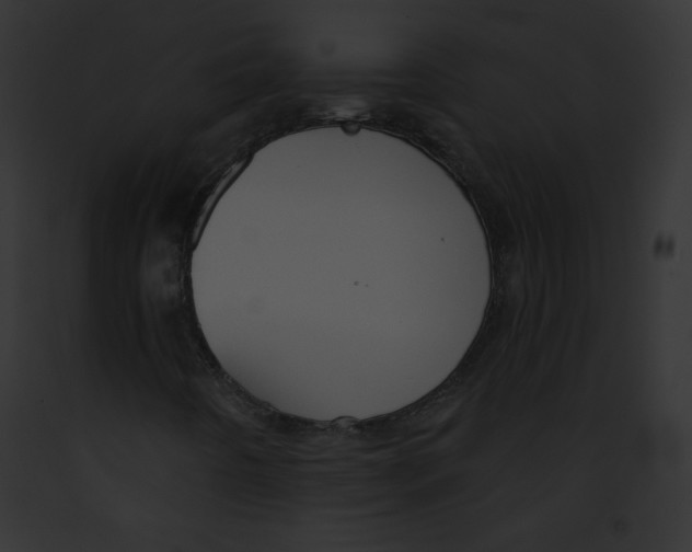 X0000091851442200710031010