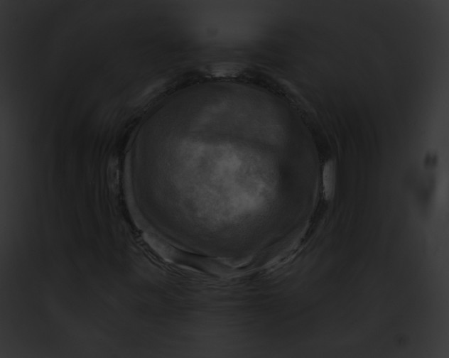 X0000091851443200710031010