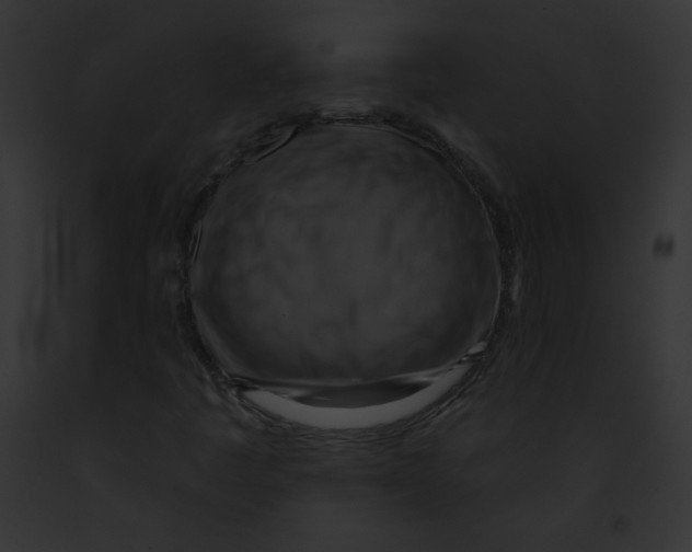 X0000091851445200710031010