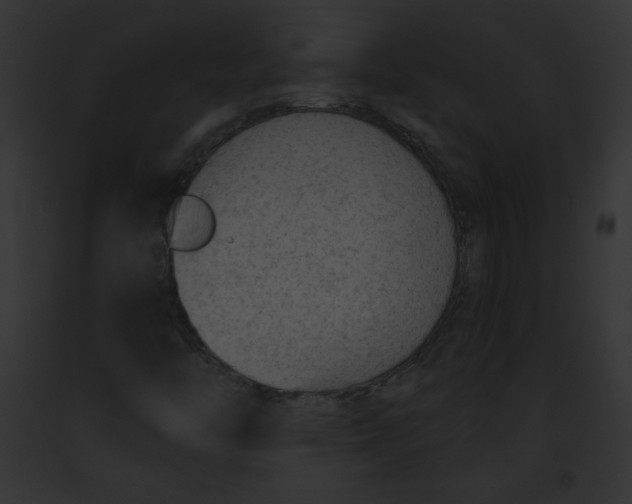 X0000091851446200710031010