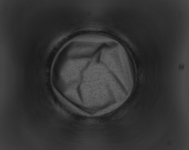 X0000091851448200710031010