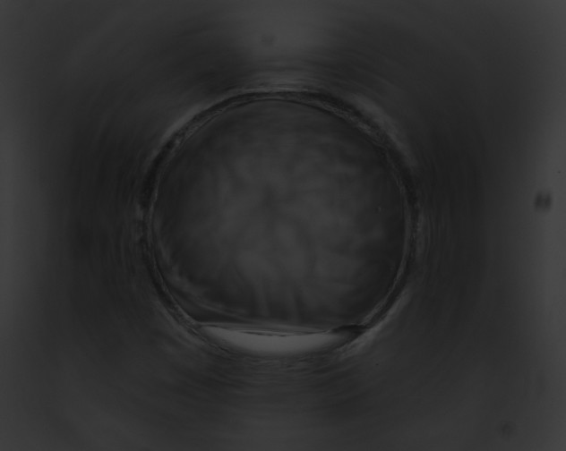 X0000091851449200710031010
