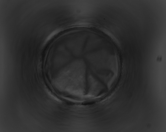 X0000091851450200710031010