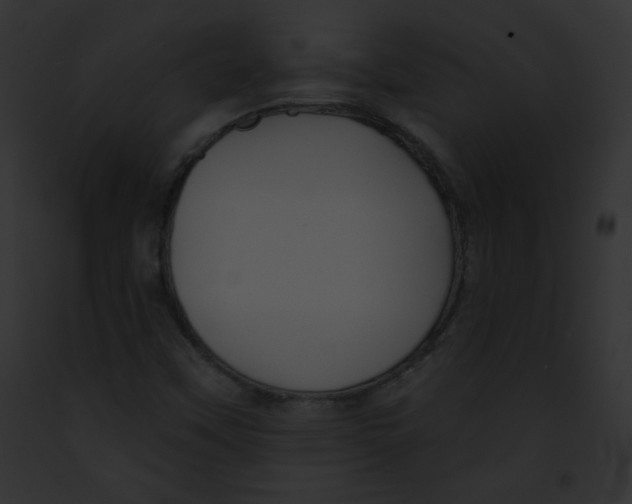 X0000091851451200710031010
