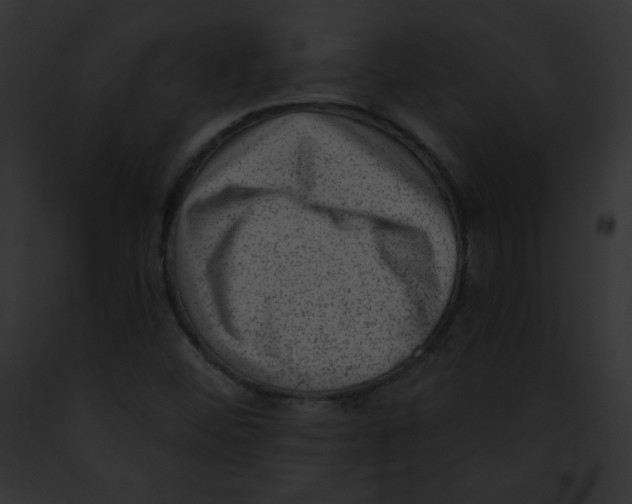 X0000091851452200710031010