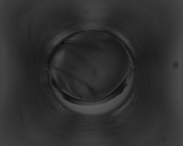 X0000091851453200710031010