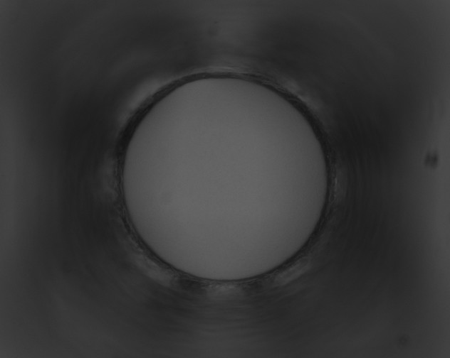 X0000091851454200710031010