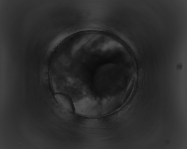 X0000091851455200710031010