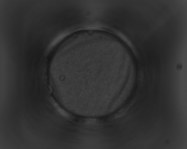 X0000091851456200710031010