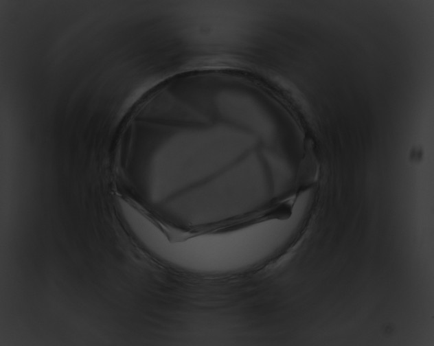 X0000091851457200710031010