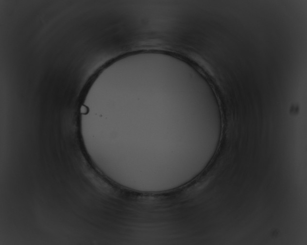 X0000091851458200710031010